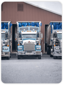 Paragon Poultry Services